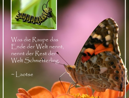 Warum eine Krise ein großes Geschenk ist