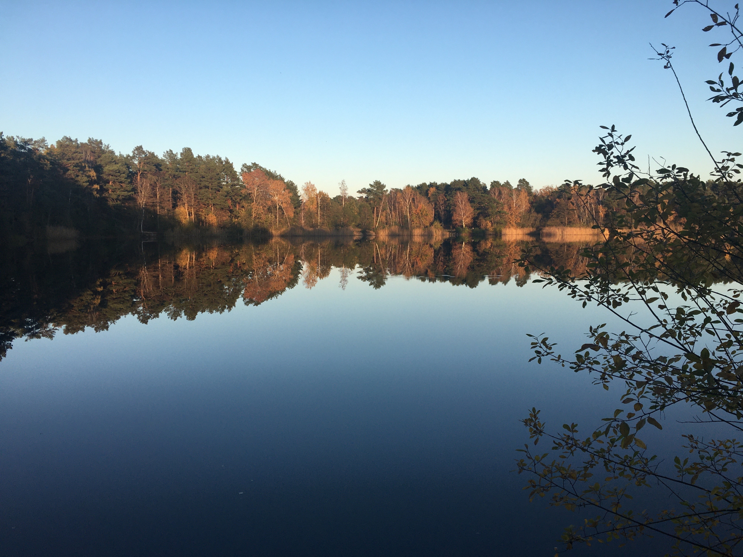 Landschaft