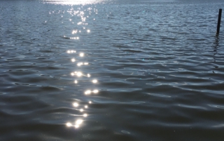 Am Wasser sitzen und reden